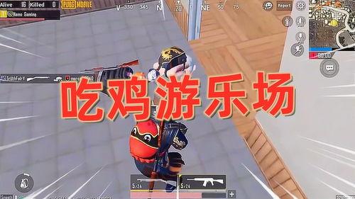 菜鸟爆料吃鸡视频大全最新,吃鸡视频大全，带你领略绝地求生精彩瞬间